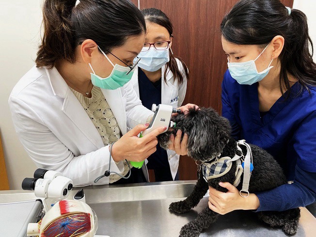 嘉大動物醫院免費為認養犬貓健康篩檢及狂犬疫苗及晶片注射