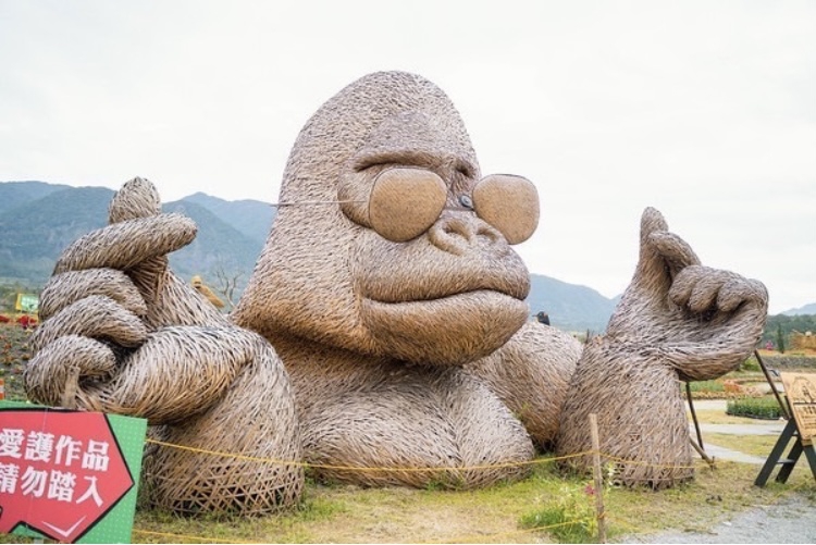 花蓮依舊很美｜中央及花蓮縣府獎勵旅遊措施齊發，18條推薦行程歡迎訪花遊玩！