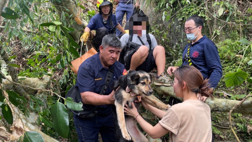 冒險犯難｜0403大地震，水源派出所長王逸仙，勇救4人2狗，接受表揚！