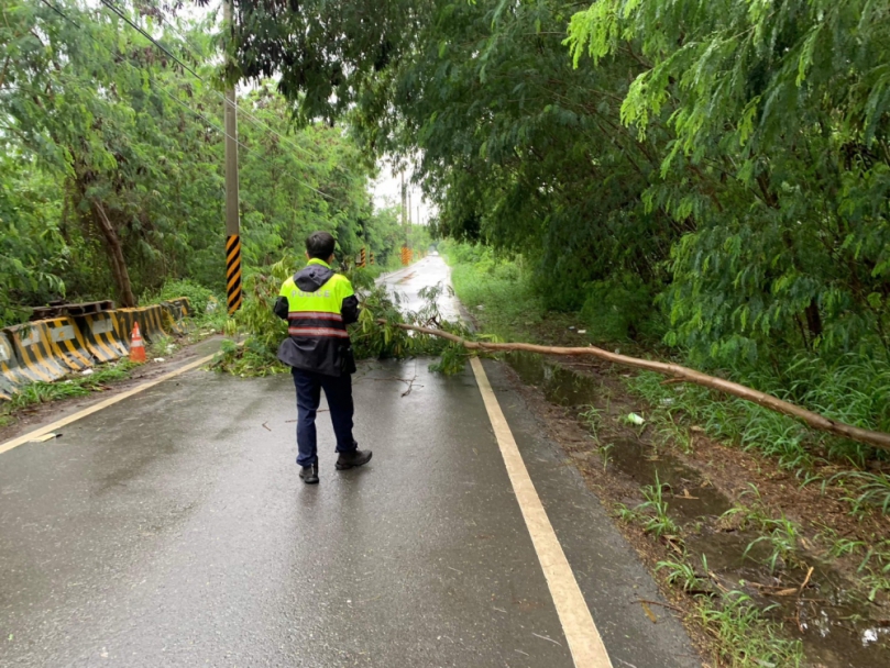 大雨路樹倒塌阻礙通行  布袋警偕熱心民眾立即排除  揪感心