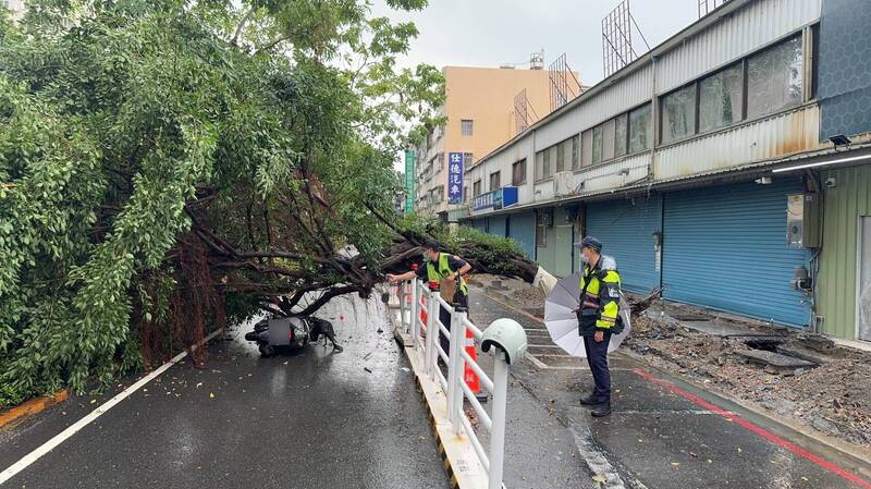 高雄大雷雨樹倒砸傷婦人工程護欄擋住保命