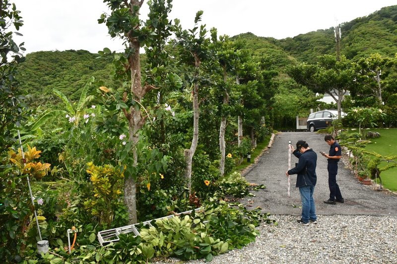 70歲民宿老闆｜花蓮縣鹽寮修剪3米高樹木墜地亡