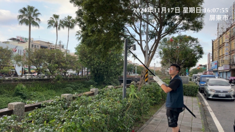 屏東綠鬣蜥今年移除逾3萬隻  將持續加強公園、水域捕捉