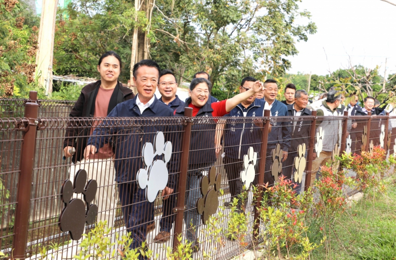 斥資7800萬打造嘉義縣民雄鄉水綠廊道 縣長翁章梁大讚猶如走在日本街道令人驚艷！