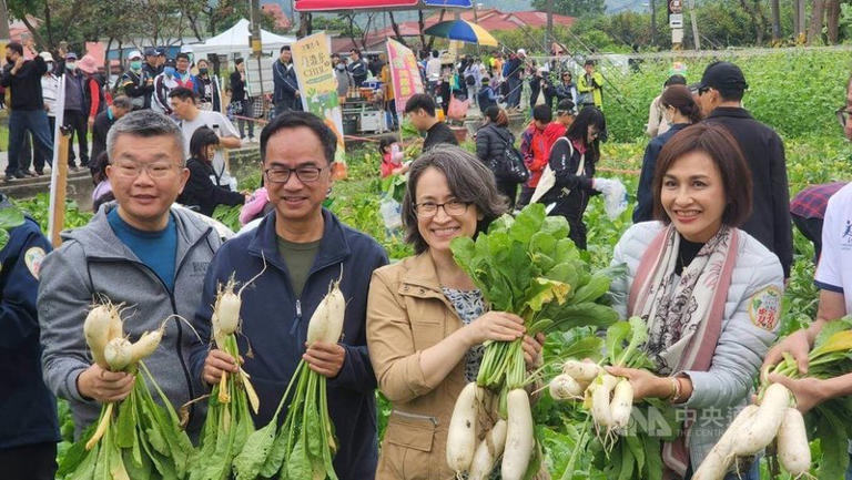 高市美濃白玉蘿蔔祭登場副總統下田採蘿蔔