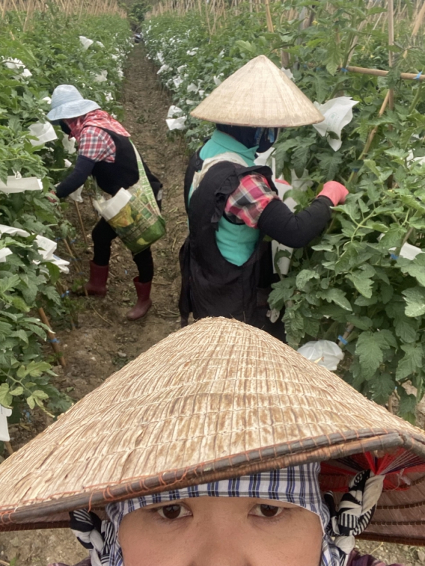 招兵買馬｜您想成為《農業師傅》嗎？花蓮、臺東地區農場、農民短期缺工服務，請洽花蓮縣富里鄉農會推廣部，電話：（03）8821991、0928–703738。