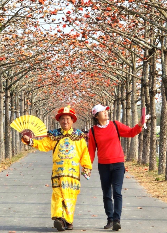 賞台南白河林初埤木棉花道 遊台灣萬里長城 享用園區御膳房蓮子餐 初春最佳休閒旅遊去處〜