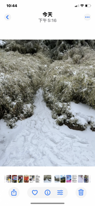 魂斷奇萊東稜｜未攜帶雪地登山裝備，未攜帶足夠口糧，大雪封路、寸步難行，1人死16人受困山屋，救援行動艱難險阻！