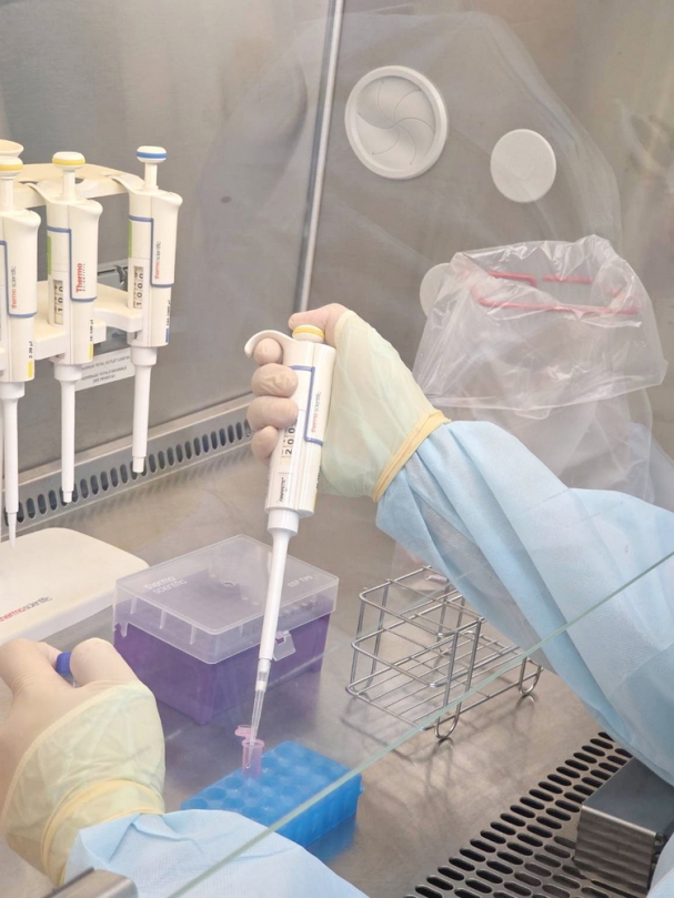 嘉義大學扛起非洲豬瘟防疫重任  啟動雲嘉南快速檢測與疫情應變  每天檢測量能可達1,000個檢體