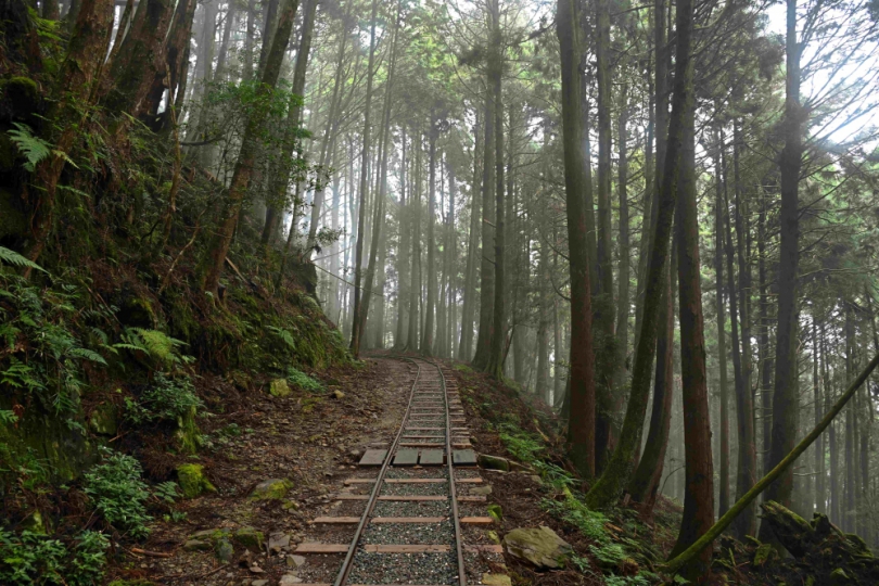 連續獲獎 林保分署「特富野古道」再獲工程永續與環境美學獎特優殊榮