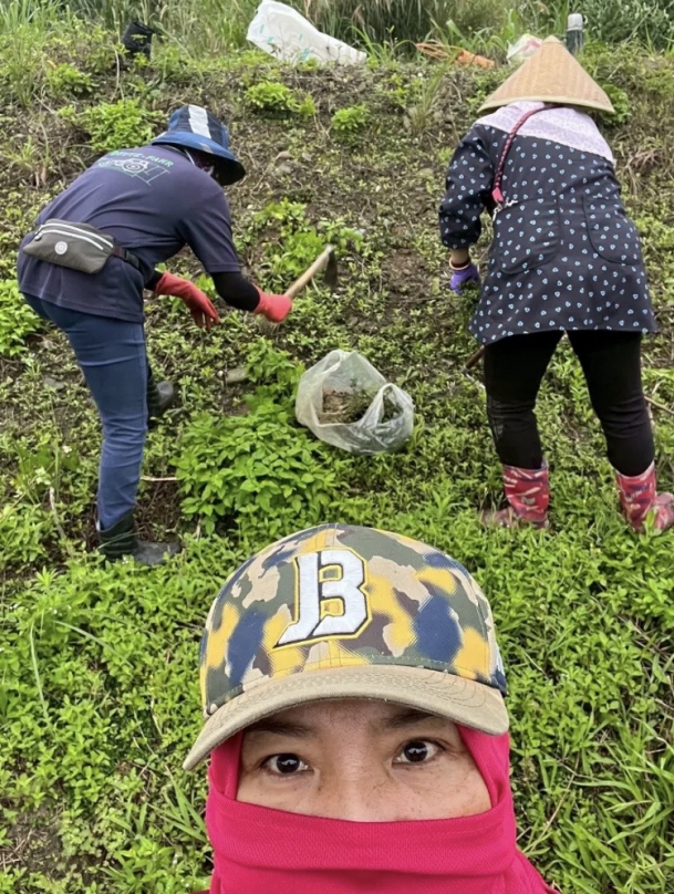 誠徵農業師傅｜農場、農民短期缺工服務，花蓮、臺東地區請洽花蓮縣富里鄉農會推廣部，電話：（03）8821991、0928–703738。