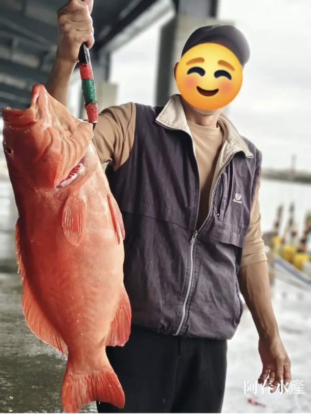 大紅條｜年關近，成功漁港釣獲，從頭到尾紅通通，大吉大利的好預兆！