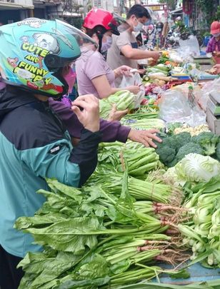 菠菜盛產一把俗賣二十元民眾搶好康