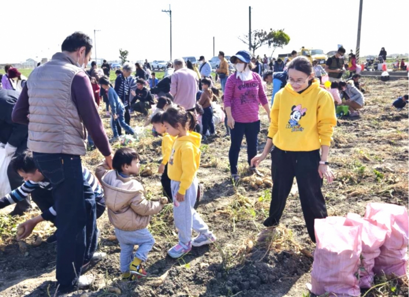 台電雲林區營業處號召千人「田園充電日」 「綠能」攜手「甜能」 迎接水林地瓜豐收盛典！