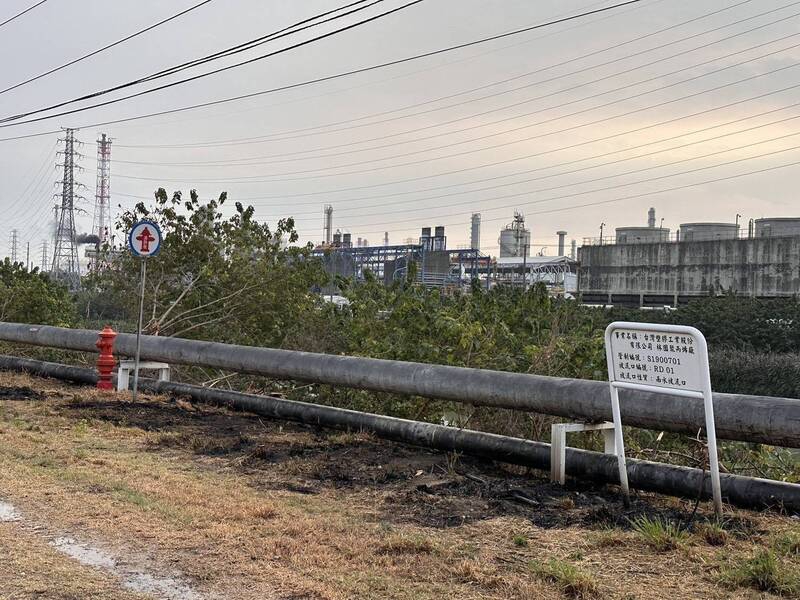 周姓男子為捕捉綠鬣蜥觸電灼傷送醫4家石化廠因而停電約5個小時恐將面臨賠