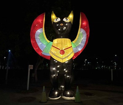 「動物有家 城市有愛」! 農業局燈區結合環保SDGs點亮永續價值