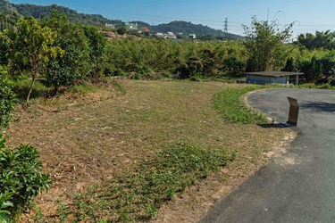 環保護地球 潭子生命紀念館樹葬區啟用 民政局長吳世瑋：提供多元永續殯葬選擇