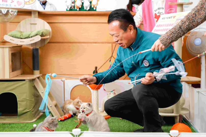 嘉義縣「喵星人命定配對」結果揭曉 0.65%中籤率抽出29位「鏟屎官」！