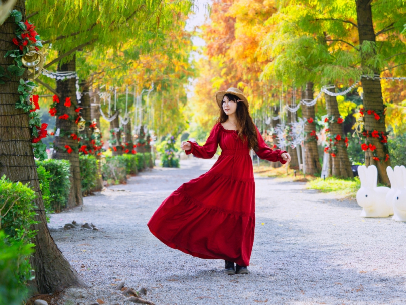 迎接新春時節,成美文化園推出一系列活動,包括落羽松。(照片成美提供)