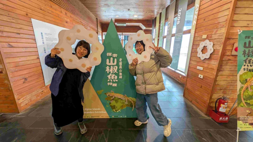 走進高山島嶼 阿里山車站山椒魚特展 從卵串到成體的生命史驚艷登場 揭開孑遺生物的神祕面紗