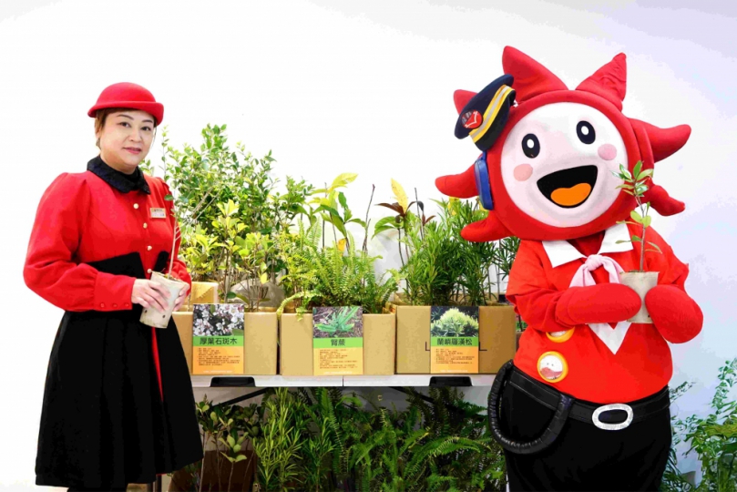 遠百嘉義「公益小樹苗帶回家」活動  三張發票或二本八成新童書  兌換遠百限量樹苗