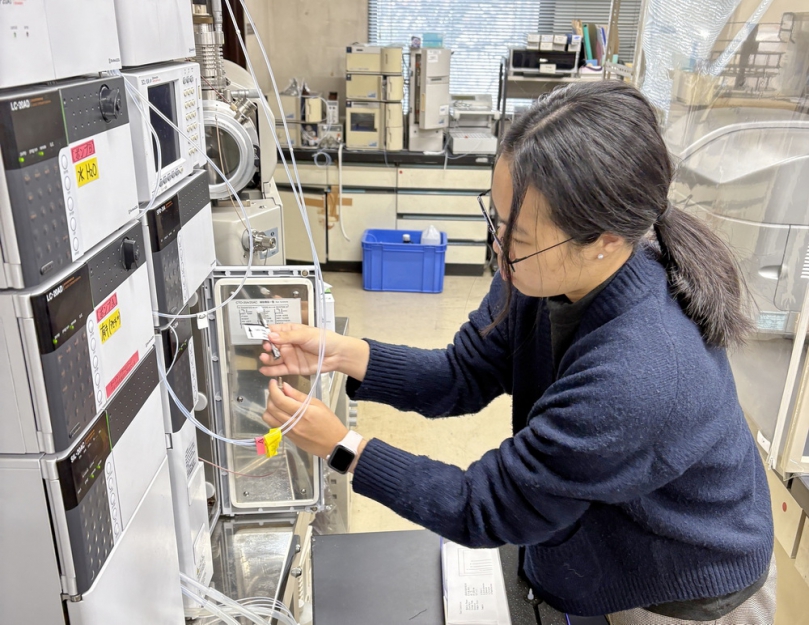 惡性雜草「大花咸豐草」有剋星 嘉大與東京大學合作研究 稻殼與稻稈等農業廢棄物粗萃取物 有生長抑制效果