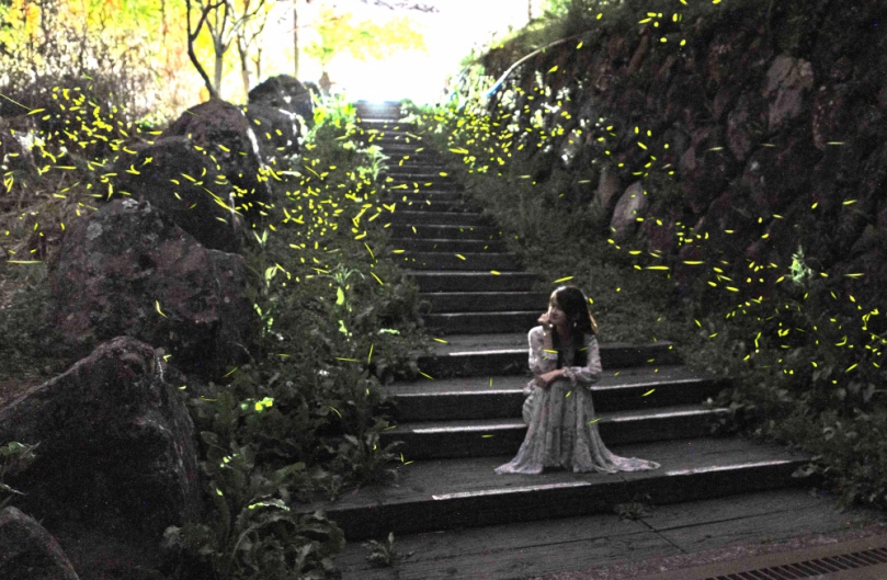 嘉義縣賞螢季登場 文觀局推薦阿里山樂野部落探訪與手作體驗之旅！