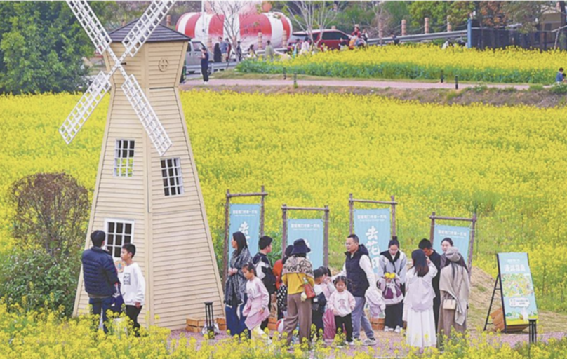 紮根海滄  保生文化結合兩岸共繁榮