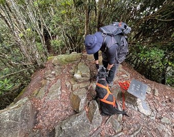 台中市搜救犬Jacob與Wonder圓滿退役 開啟後半輩子幸福「毛生」