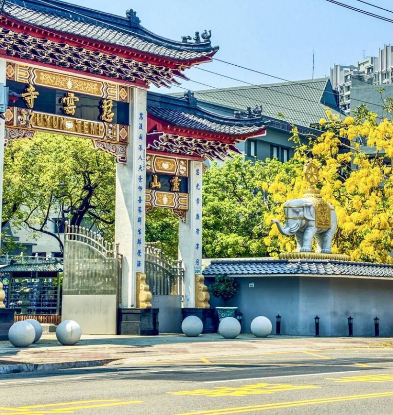 高雄楠梓慈雲寺阿勃勒盛開民眾朝聖瞬間以為在日本
