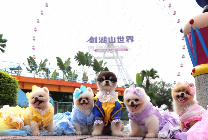 雲林劍湖山世界打造全台寵物友善旅遊新標竿 5/26起每周二常態開放 另推專屬入園優惠 打卡再抽總統套房！