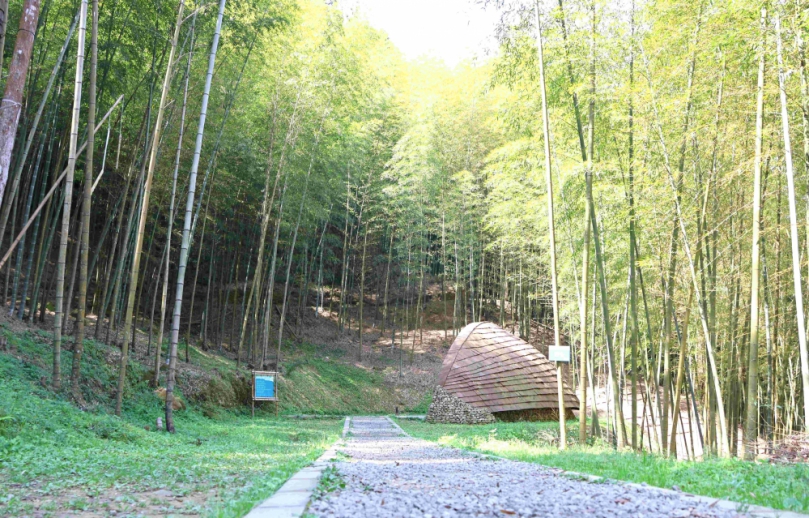 雲林古坑草嶺石壁竹創森國際永續里程再邁進 繼榮獲「世界竹地標」後 再取得全國首座公有林FSC FM國際管理驗證竹林地!