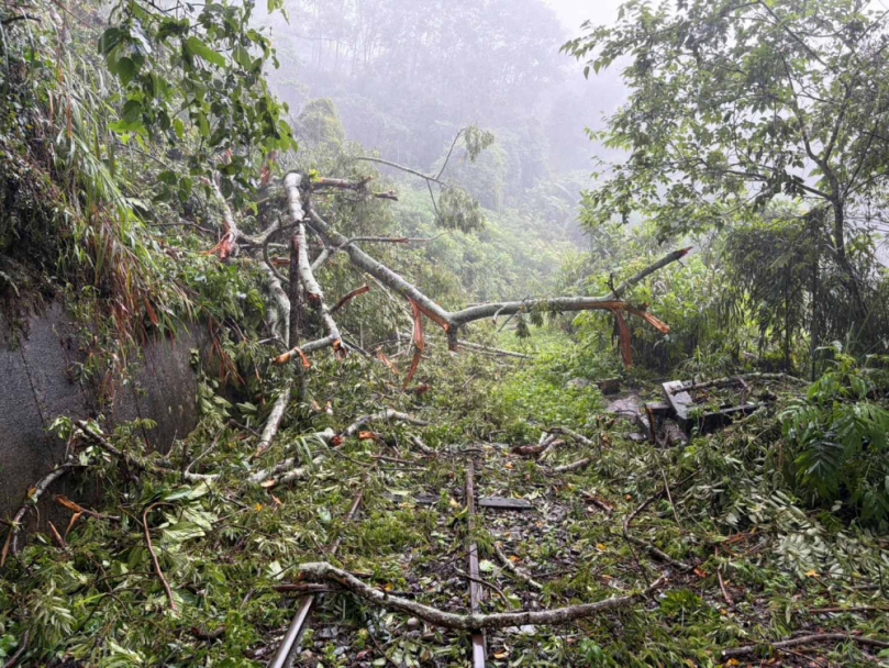 阿里山林鐵落石完成清理與路線巡檢 6月11日全線恢復營運