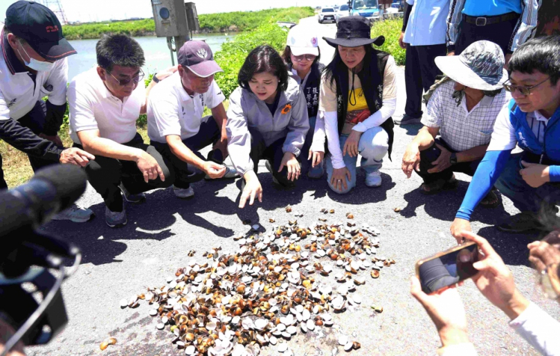 豪雨接連高溫釀雲林農漁損失 縣長張麗善等人籲中央儘速啟動救助機制！