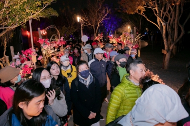 中台灣燈會「龍之異次元」創450萬次網路聲量