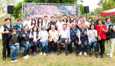 嘉義縣竹崎「阿拉伯粉紅村」開園 粉紅花旗木即將綻放！