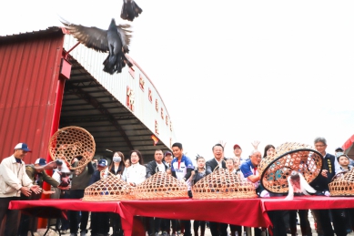 振翅高飛！嘉義縣義竹「賽鴿笭」文化季熱鬧登場〜