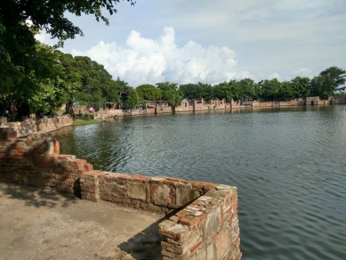 清明連假遊學甲賞蜀葵、看黑琵、訪老塘湖