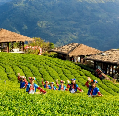 阿里山生態步道秘境車站螢火蟲探索趣 阿里山賓館推十字車站迷糊步道「螢光星旅」