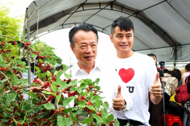 嘉義縣行銷推廣桑椹「義竹攏來桑」活動熱鬧登場 4至5月採收旺季 歡迎大家一起來享用義竹優質桑椹〜