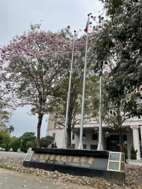 金融機構蘇姓行員涉嫌掩護詐團辦人頭帳戶  詐領逾億元 嘉檢聲押獲准