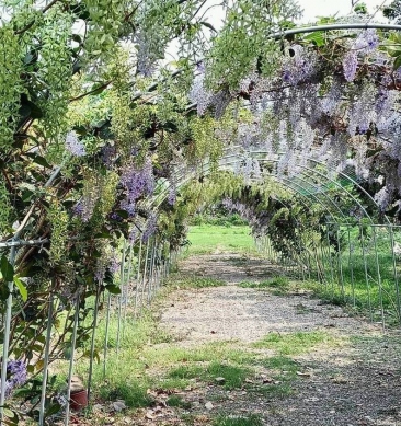 高雄45處閒置空地綠美化甲仙區親水公園成觀光休憩地