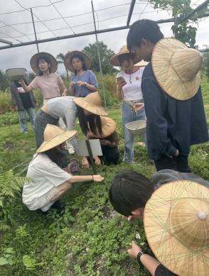 食農教育｜寓教於樂，國立東華大學休閒管理學系40名師生，櫻田野養生休閒農莊認識野菜之旅，最佳戶外教室！
