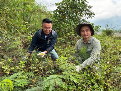 守護楠梓仙溪國家級濕地移除外來入侵植物