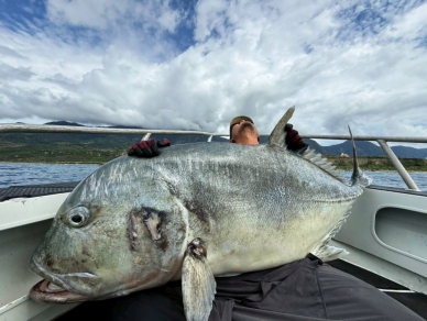 巨魚｜70.2公斤，臺東船釣釣獲，隨即放生！ 圖文：台東船釣揪團，魚貨分享販售。｜沙