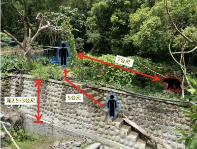 一槍斃命｜卓溪黑熊遭槍擊事件調查完畢，林業及自然保育署：窄路相逢、沒有退路，情況緊急、合法自衛！