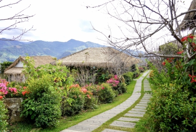 嘉義賞螢季限定！「慢遊嘉義」LINE官方帳號19家餐飲體驗享優惠〜