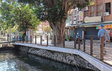 高雄蓮池潭天空之城樹景5月中走入歷史