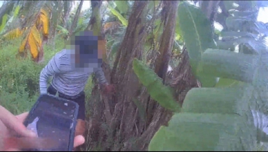 65歲鐵馬翁逆向行駛｜見警遁入樹叢，吉安警追捕捕獲，原來是竊盜通緝犯！