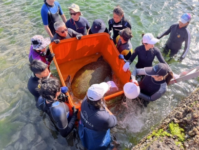 海龜誤入貢寮九孔池　新北動保處聯合啟動救援行動！